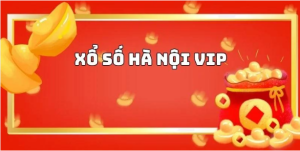 Hướng dẫn cách chơi từ A-Z Xổ số Hà Nội Vip cho tân binh