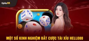 Tổng hợp thông tin về game tài xỉu Hello88 mới nhất 2024